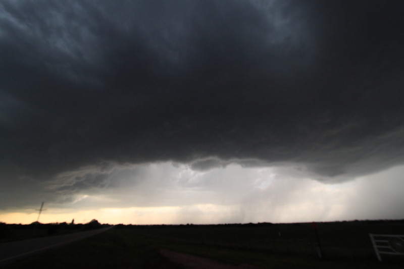 DPP_140509173
